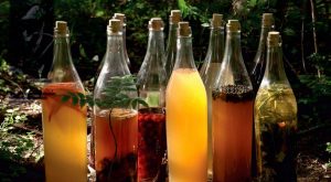 стеклянные бутылки с домашними наличками и настойками