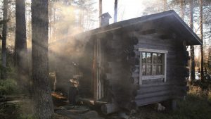 Чем отличаются режимы парения - финская сауна в лесу